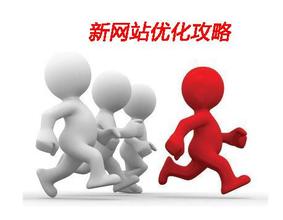 新網(wǎng)站優(yōu)化怎么做？